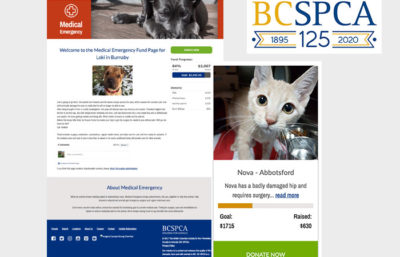 Yeeboo Digital were asked to design and build a custom crowdfunding website for BC SPCA’s Medical Emergency animal fund pages.